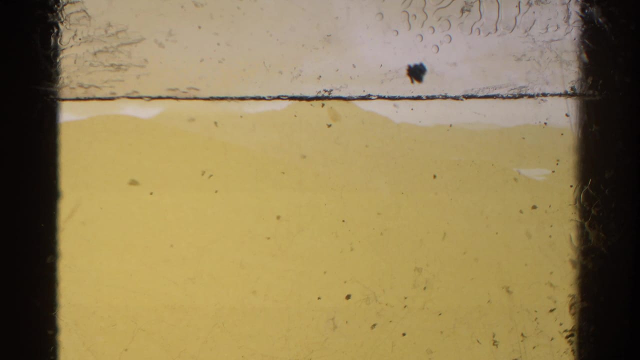 Yellow-tinted film leader or overexposed mountain frame with dark 8mm borders.