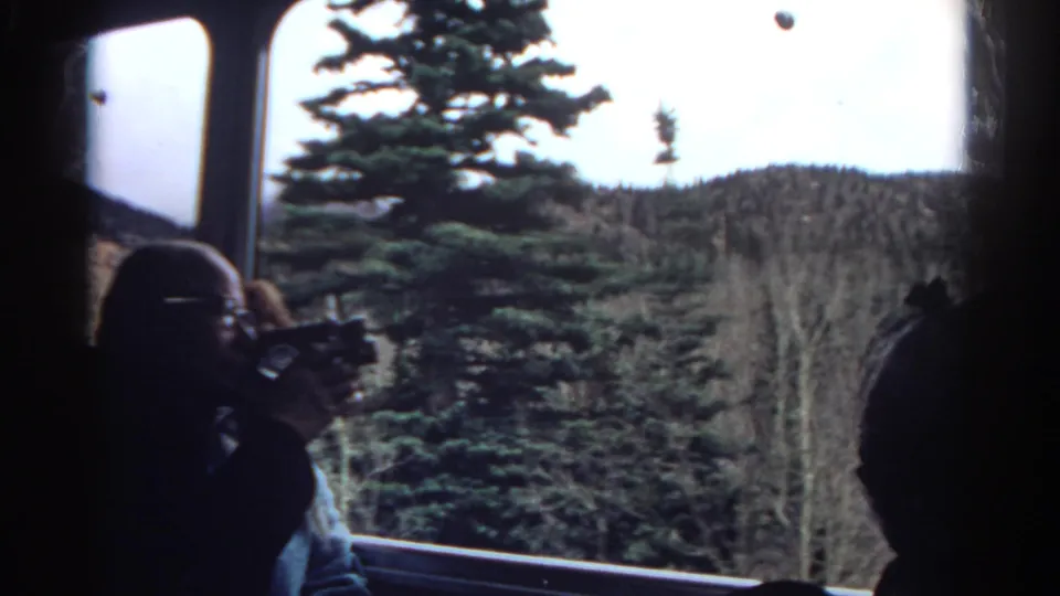 Inside a vehicle, a silhouetted passenger with a camera faces a roadside evergreen and wooded Colorado hills beyond the window.
