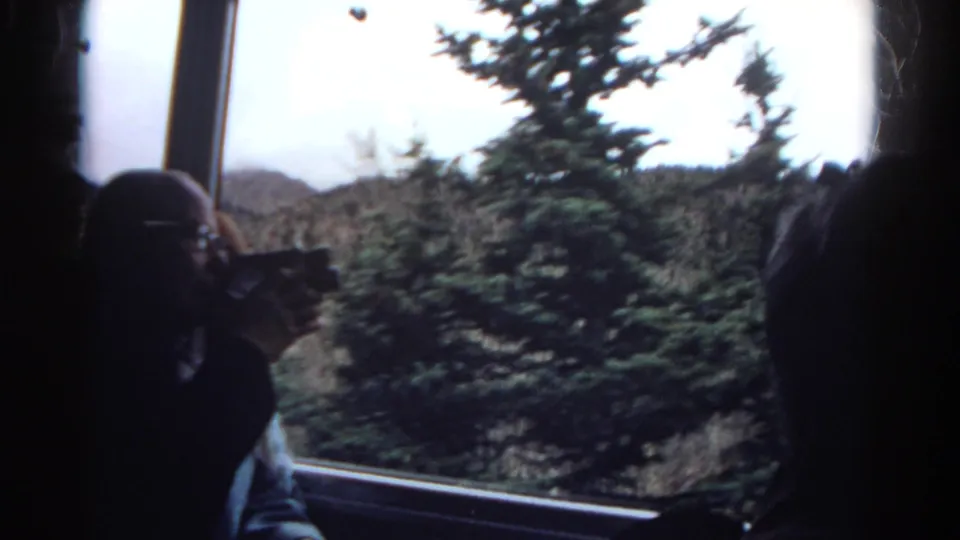 Inside the moving train, a tourist with glasses aims a small camera while a large evergreen and mountain terrain pass outside the window.