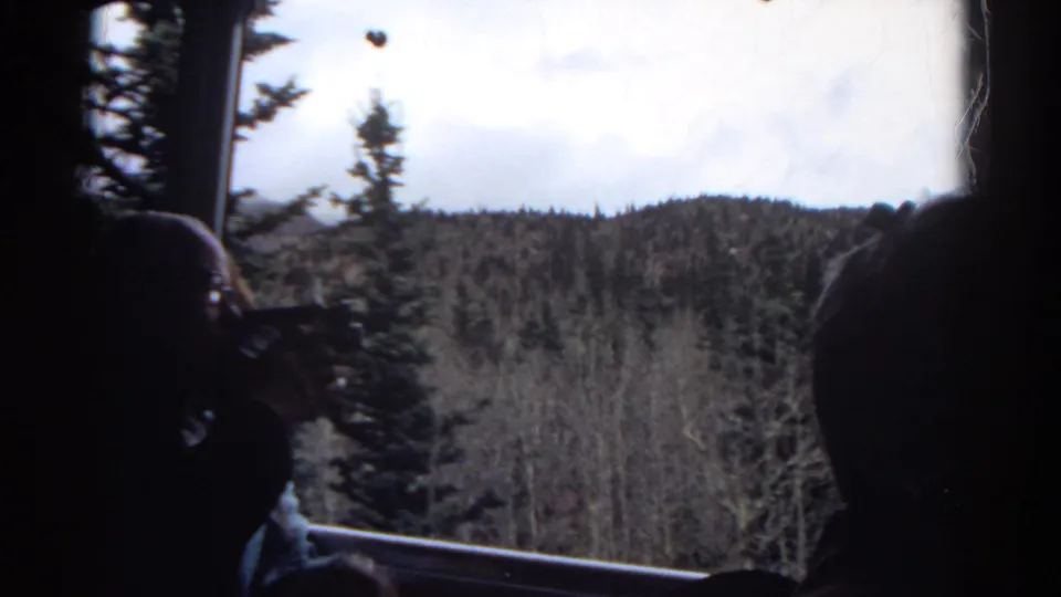 A dark interior view from the train shows passengers in silhouette against Colorado woodland, with evergreens, bare trees, and hills outside.