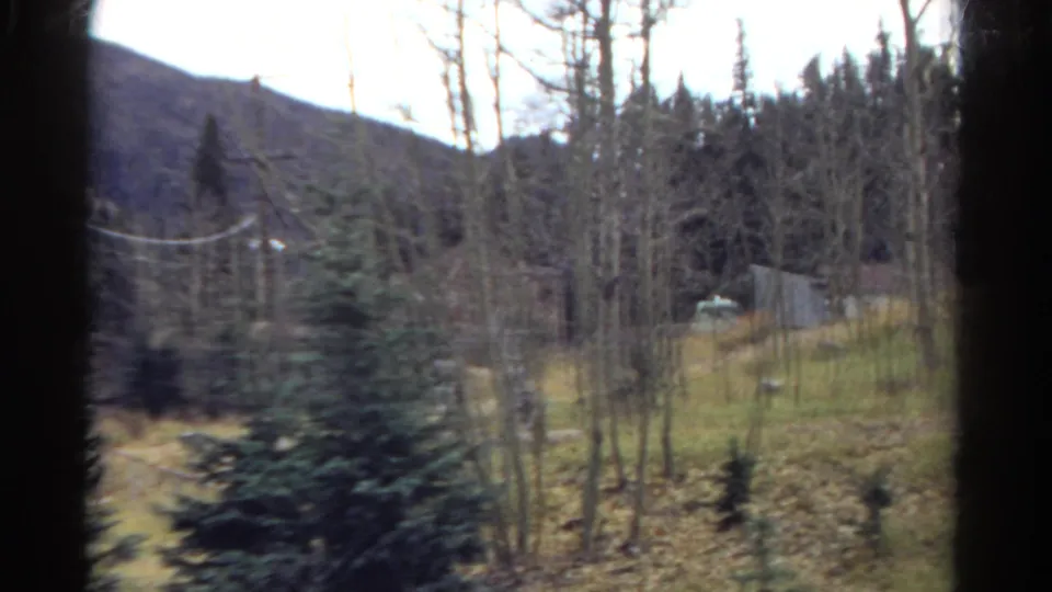 1967 Colorado 8mm frame looking through the helicopter window at leafless trees, evergreens, a rural clearing, utility lines, and mountainside terrain.