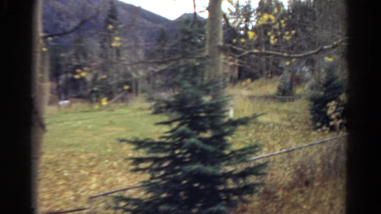 Window-framed view of a fenced yard with evergreen trees, autumn brush, and mountains in the background.