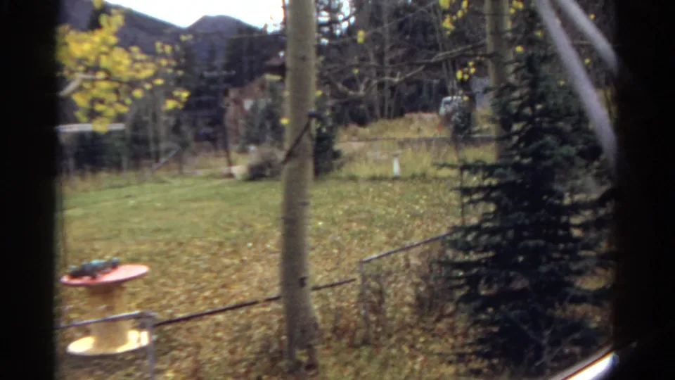 1967 Colorado frame showing a fenced leaf-covered yard, slender trees, evergreens, a distant building, and a small round table.
