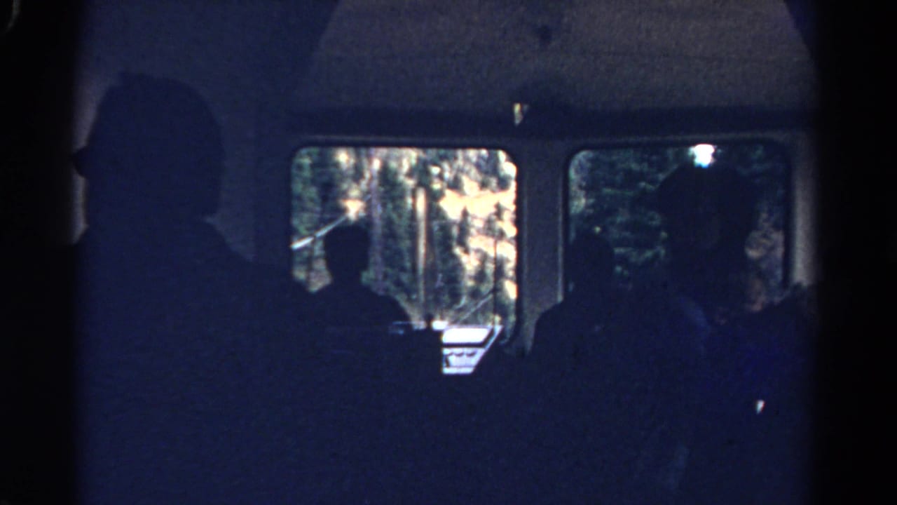 Passenger silhouettes inside a train with bright forest visible through the windows.