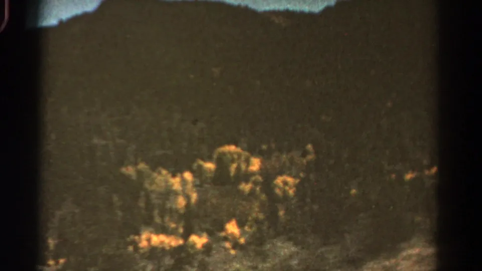 Grainy 1967 Colorado frame with flowering brush, shadowed trees, and a moving roadside perspective.