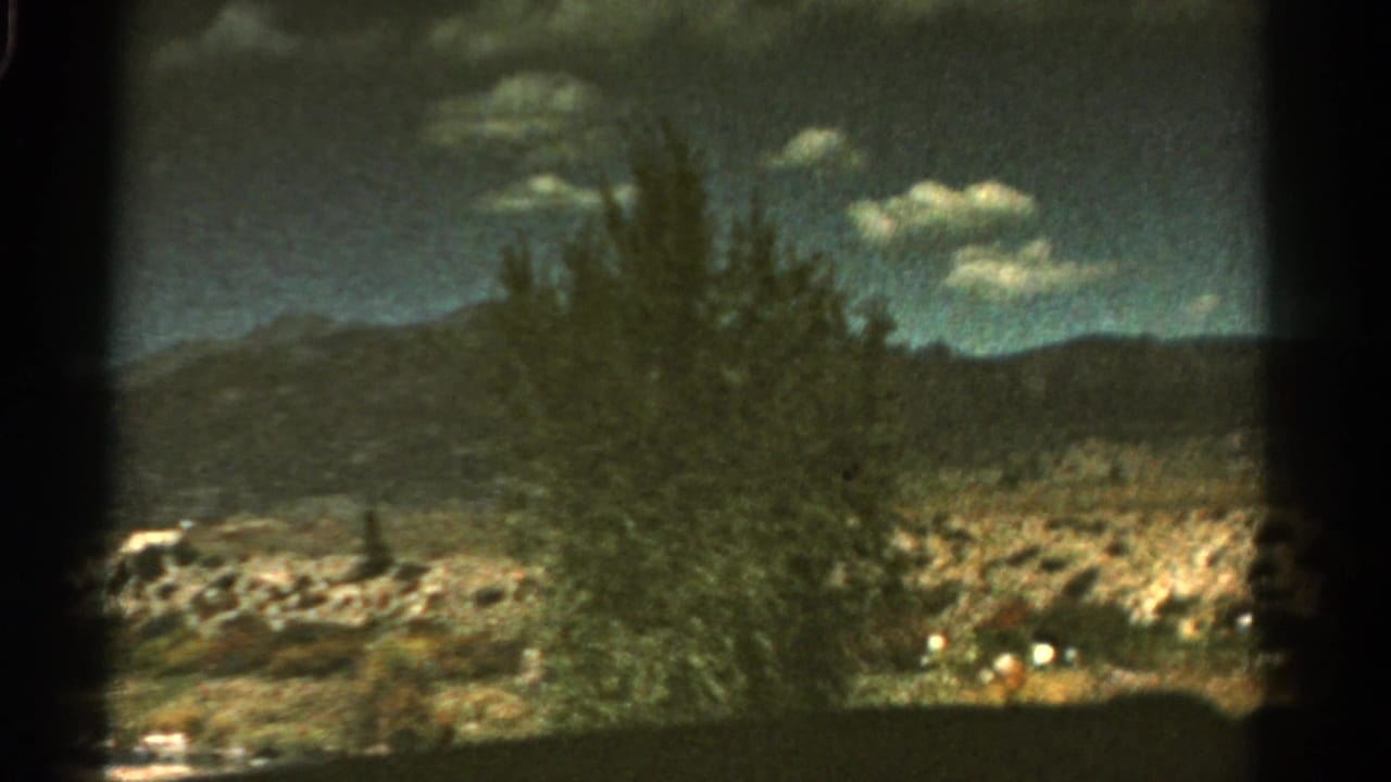 1967 Colorado roadside view with a tree or shrub in the foreground, low mountains behind it, and small clouds across the sky.