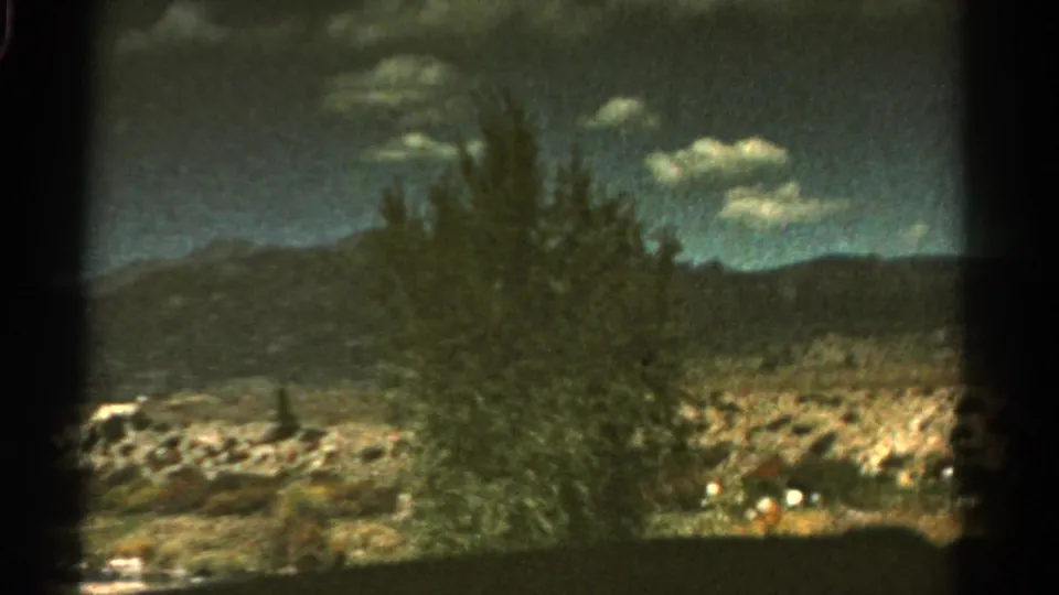 1967 Colorado roadside view with a tree or shrub in the foreground, low mountains behind it, and small clouds across the sky.