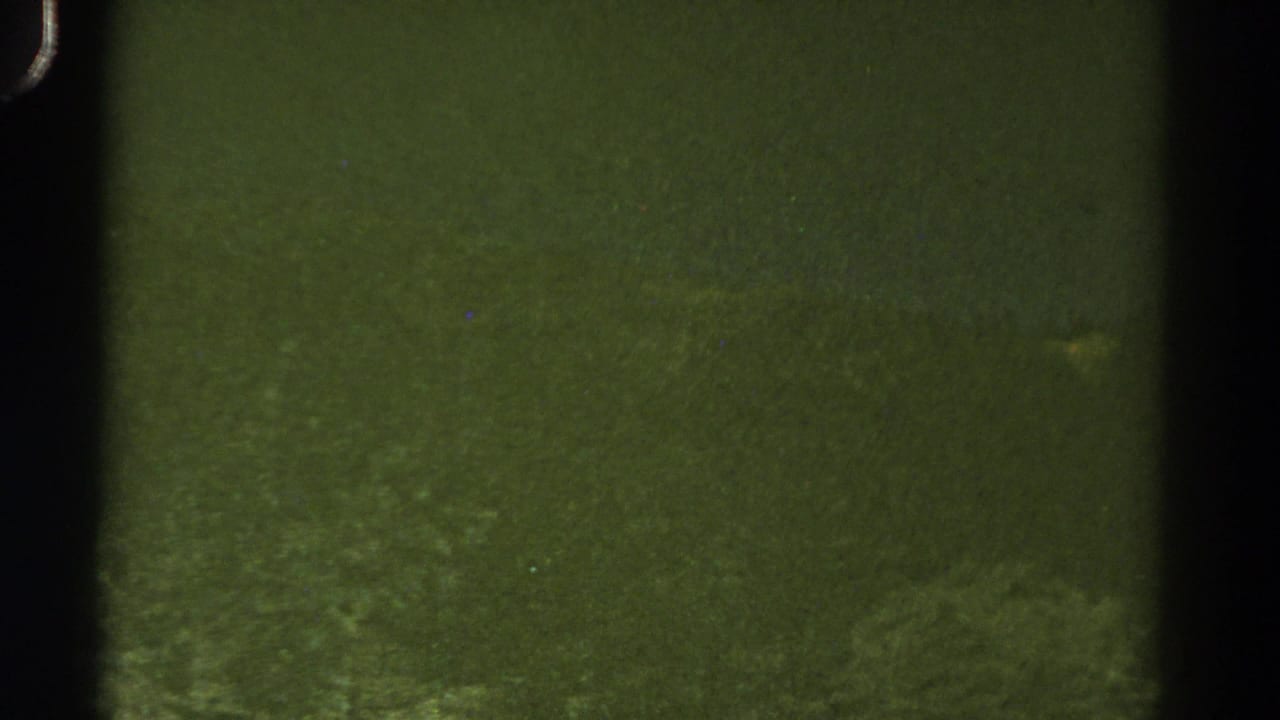 Dark green-tinted film frame with vertical black film edges and faint landscape texture.