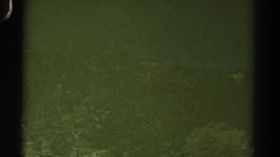 Green-tinted 8mm frame from the Colorado home-movie clip, showing mostly dark exposure damage and film-edge intrusion.