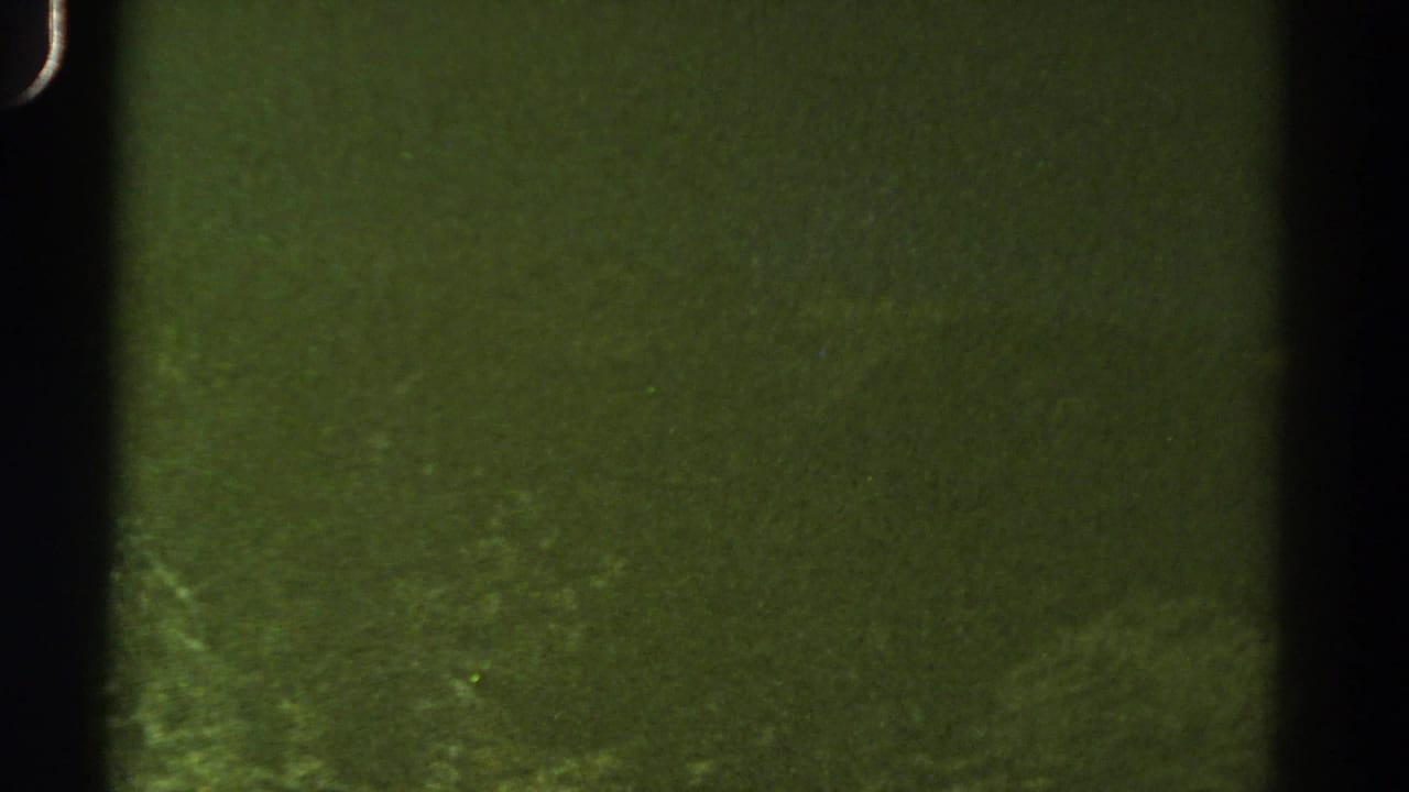 Damaged green-tinted 8mm frame from the 1967 Colorado clip, with little visible scenery beyond grain and frame edges.