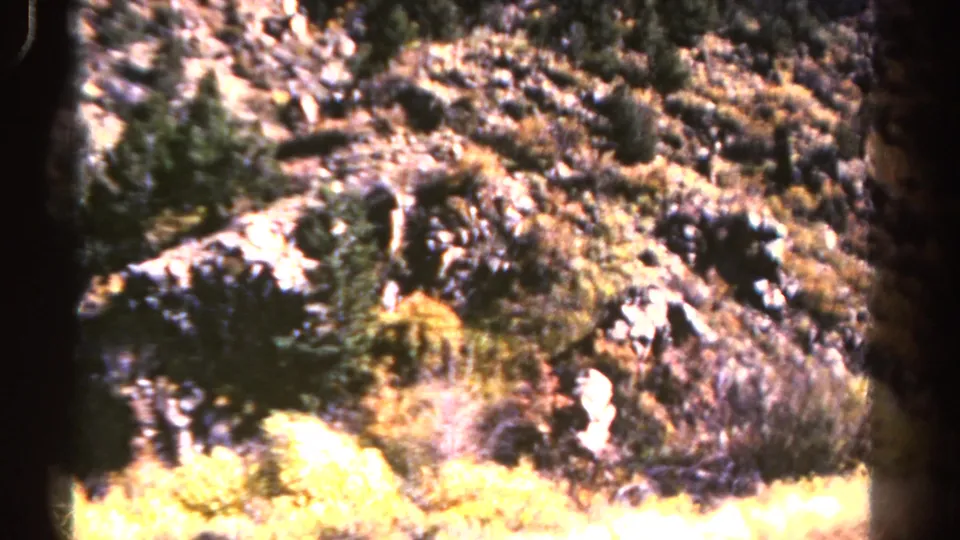 1967 Colorado 8mm frame showing a rocky mountain hillside with dry brush, scattered evergreens, bright exposure, and film-edge artifacts.