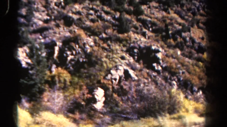 1967 Colorado home-movie frame of a rugged hillside with rocks, brush, scattered trees, grain, and a dark vertical film-edge mark.