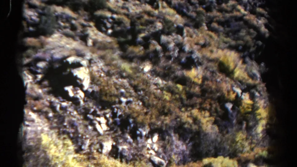 Close bus-window view of Colorado hillside terrain with rocks, brush and blurred vegetation in 1967 8mm footage.
