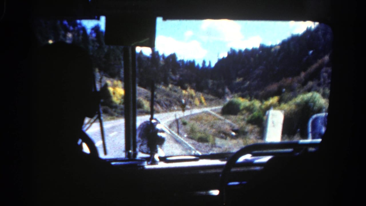 Bus interior silhouette frames a curving road through trees and autumn foliage.