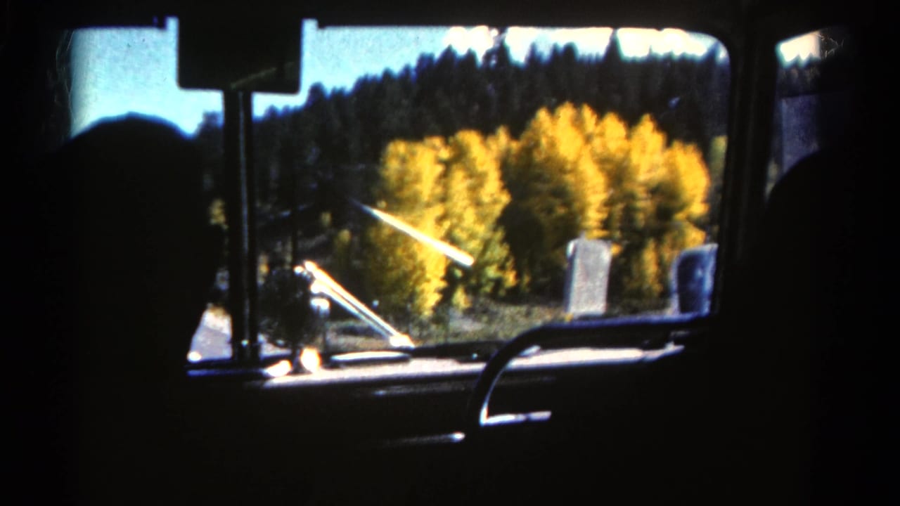 Passenger-side view from a dark vehicle interior in Colorado, with autumn aspen color and evergreen forest outside.
