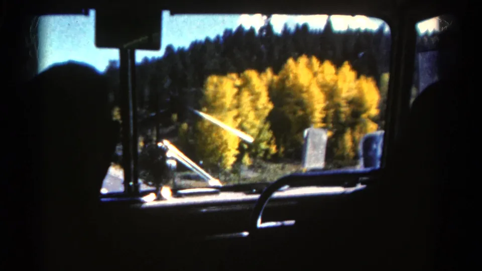 Passenger-side view from a dark vehicle interior in Colorado, with autumn aspen color and evergreen forest outside.