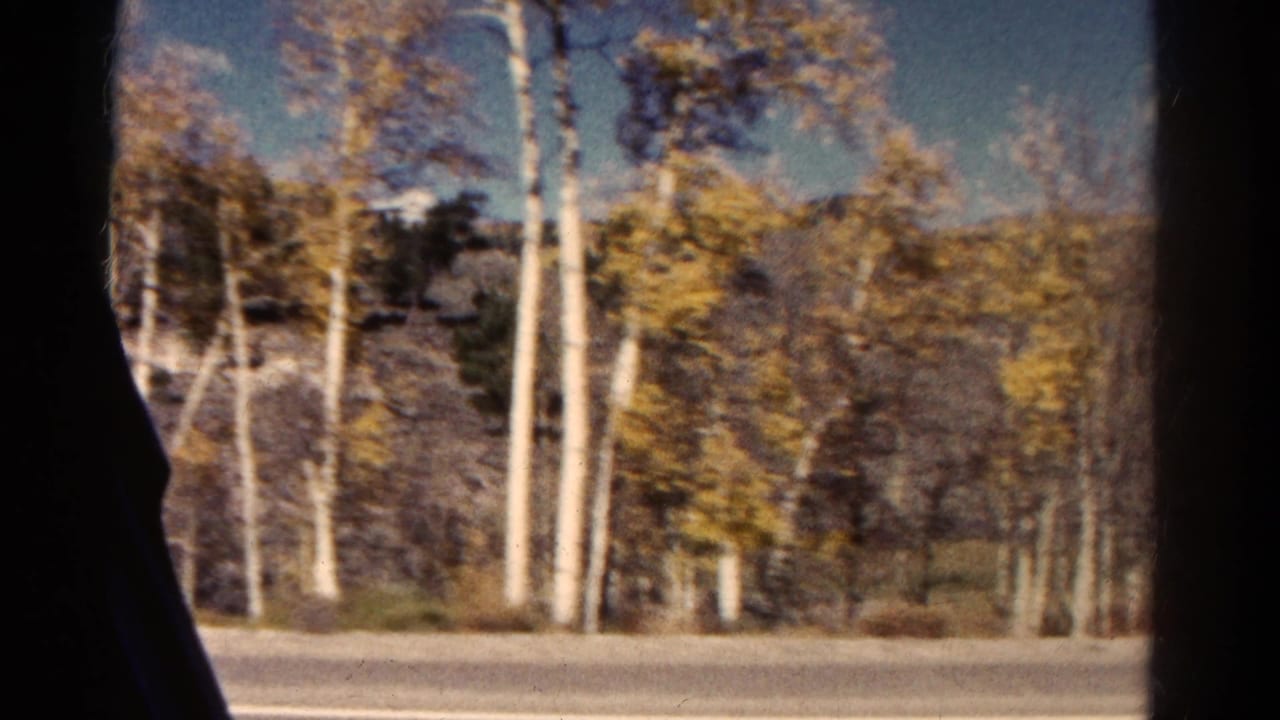 1967 Colorado home-movie frame showing roadside aspens and autumn foliage through a moving car window.
