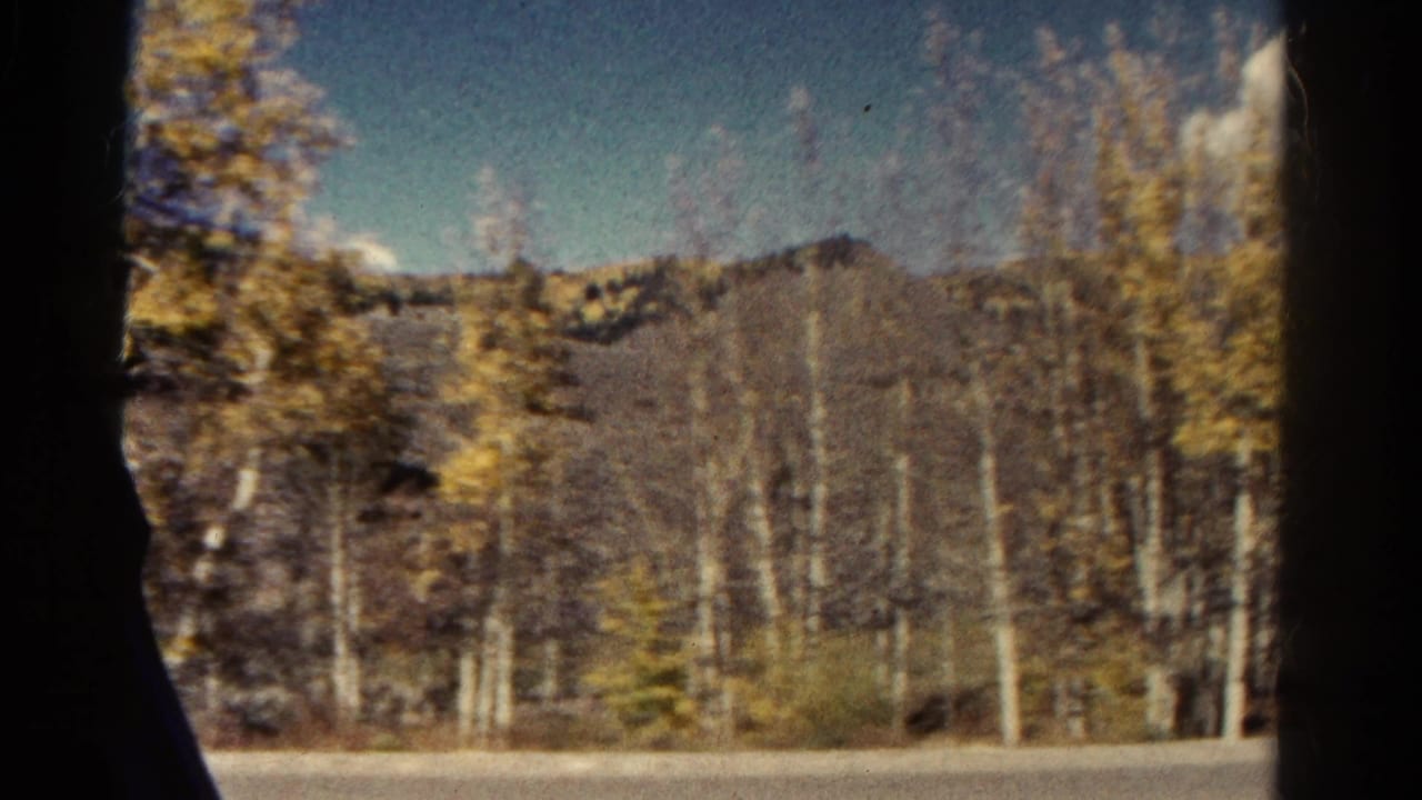 1967 Colorado 8mm frame with a wooded hillside, pale aspen trunks, and car-window framing at the sides.