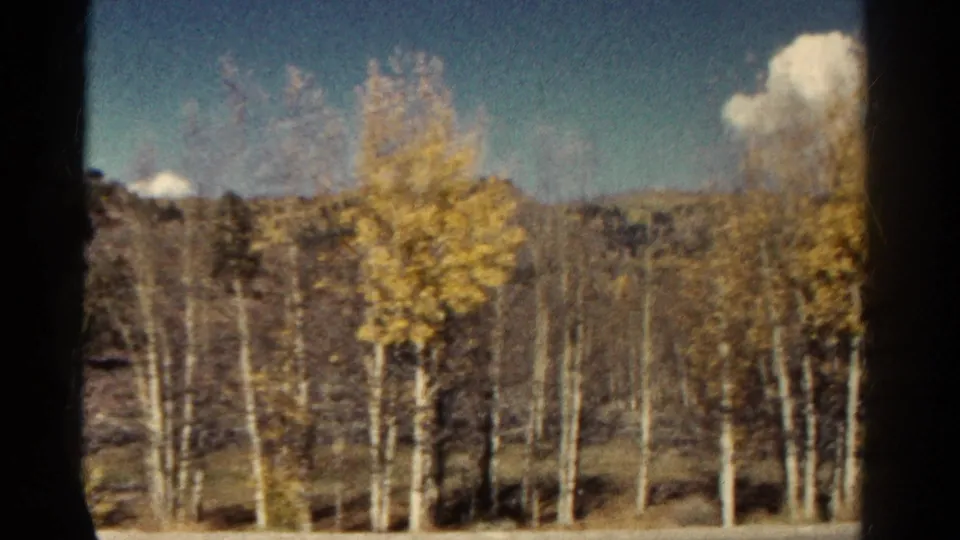 1967 Colorado travel frame showing golden aspens, bare trunks, distant hills, and a bright cloud through car-window edges.