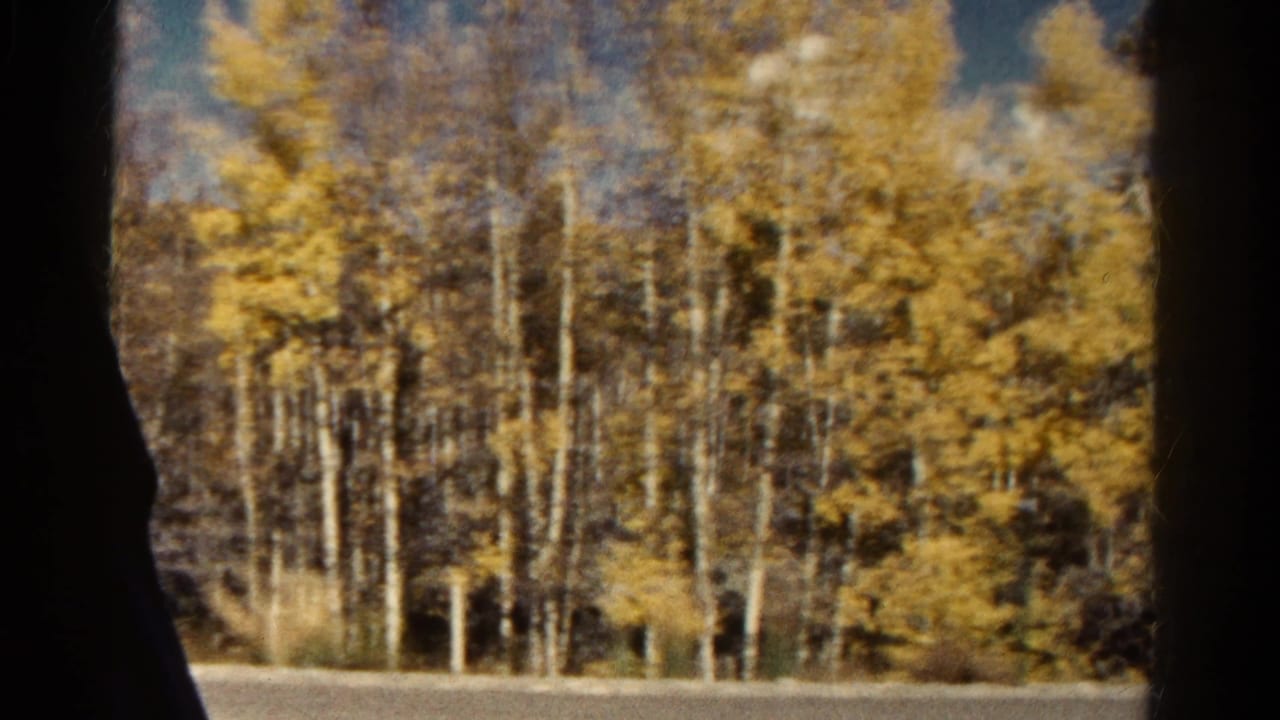 Golden aspen trees seen through dark vehicle-window edges beside a road.