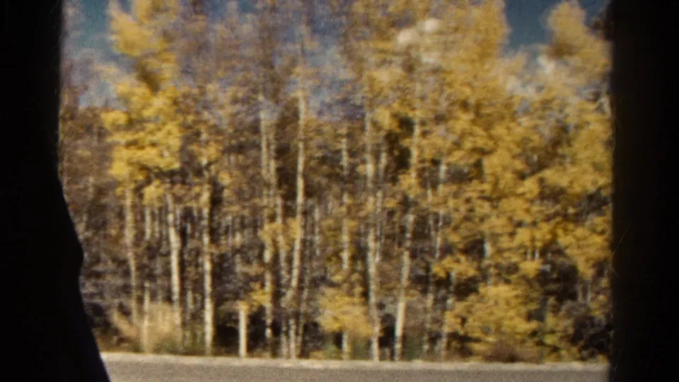 1967 Colorado 8mm frame showing golden aspens, pale trunks, road edge, and dark interior framing from a moving vehicle.