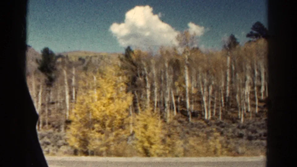 Colorado 1967 8mm view of an aspen-covered hillside, road edge, blue sky, and white cloud from a moving vehicle.