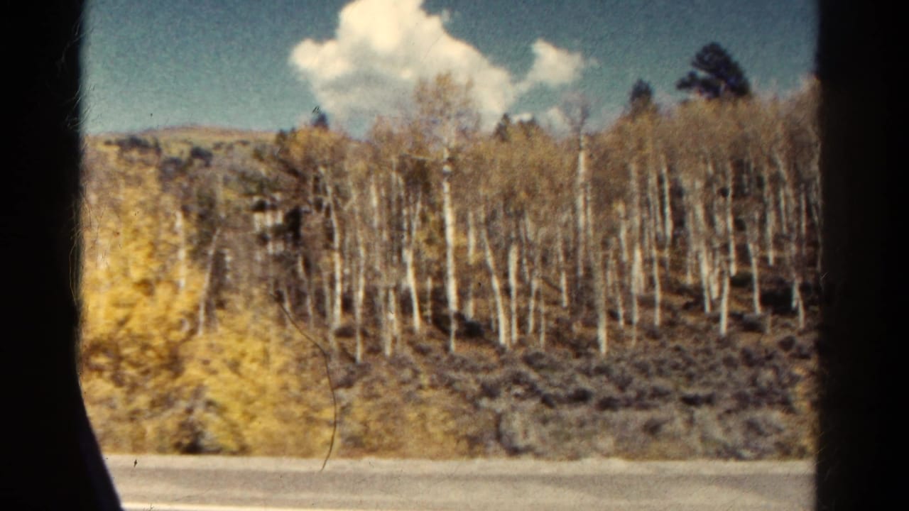 1967 Colorado home-movie view from inside a vehicle, looking toward pale roadside trees, dry ground, hills, and a clouded sky.