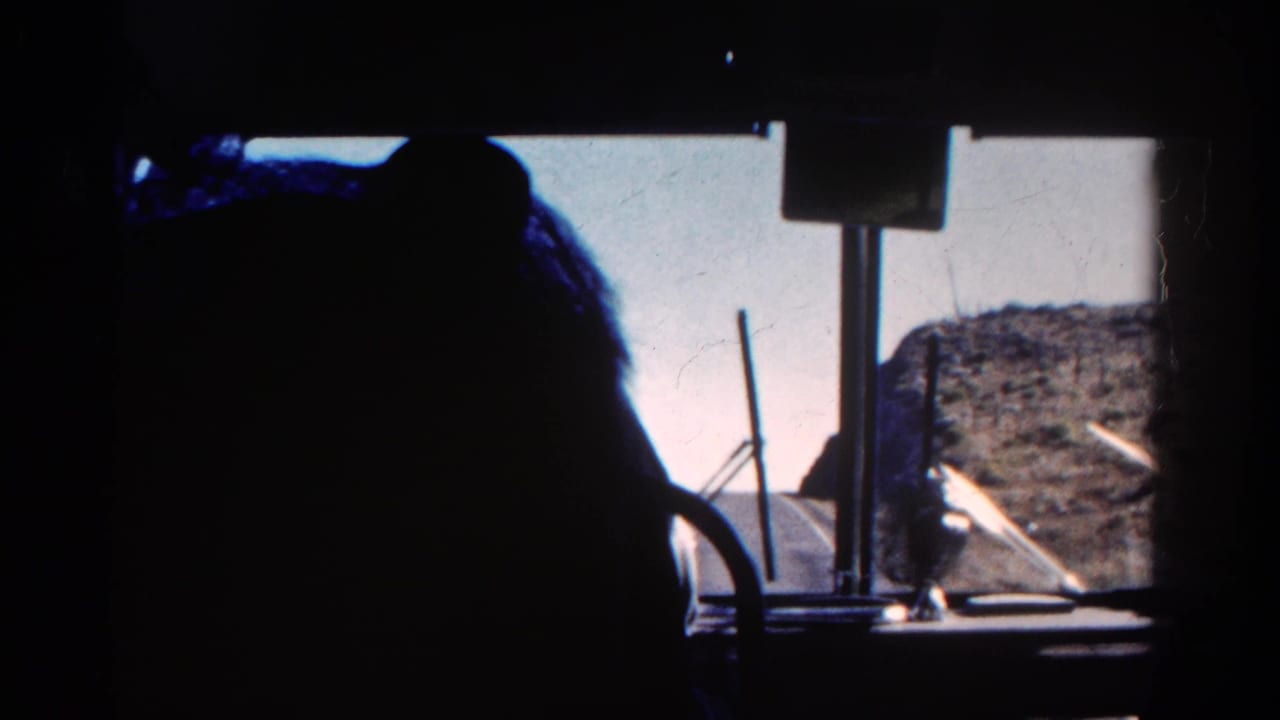Dark passenger silhouette beside a bus window looking toward dry hills outside.