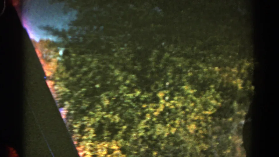 Soft 8mm frame of roadside greenery and trees in Colorado, filmed from a moving vehicle with dark frame edges.