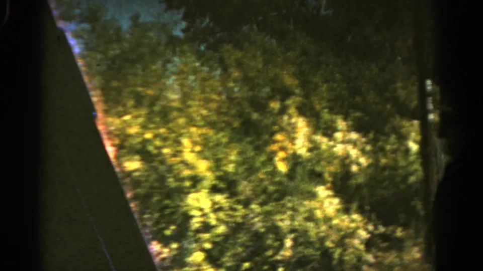 1967 Colorado home-movie frame showing sunlit brush and trees through a dark vehicle-window frame.