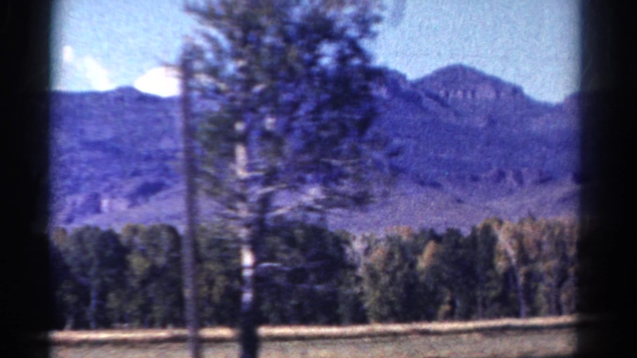 A roadside tree partly obscures the Colorado mountain landscape in this 1967 8mm car-window view.