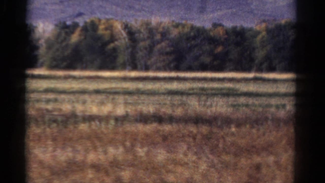 1967 Colorado 8mm frame showing a rural field and autumn-toned tree line from a moving vehicle.
