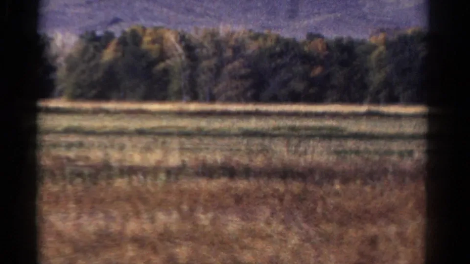 1967 Colorado 8mm frame showing a rural field and autumn-toned tree line from a moving vehicle.