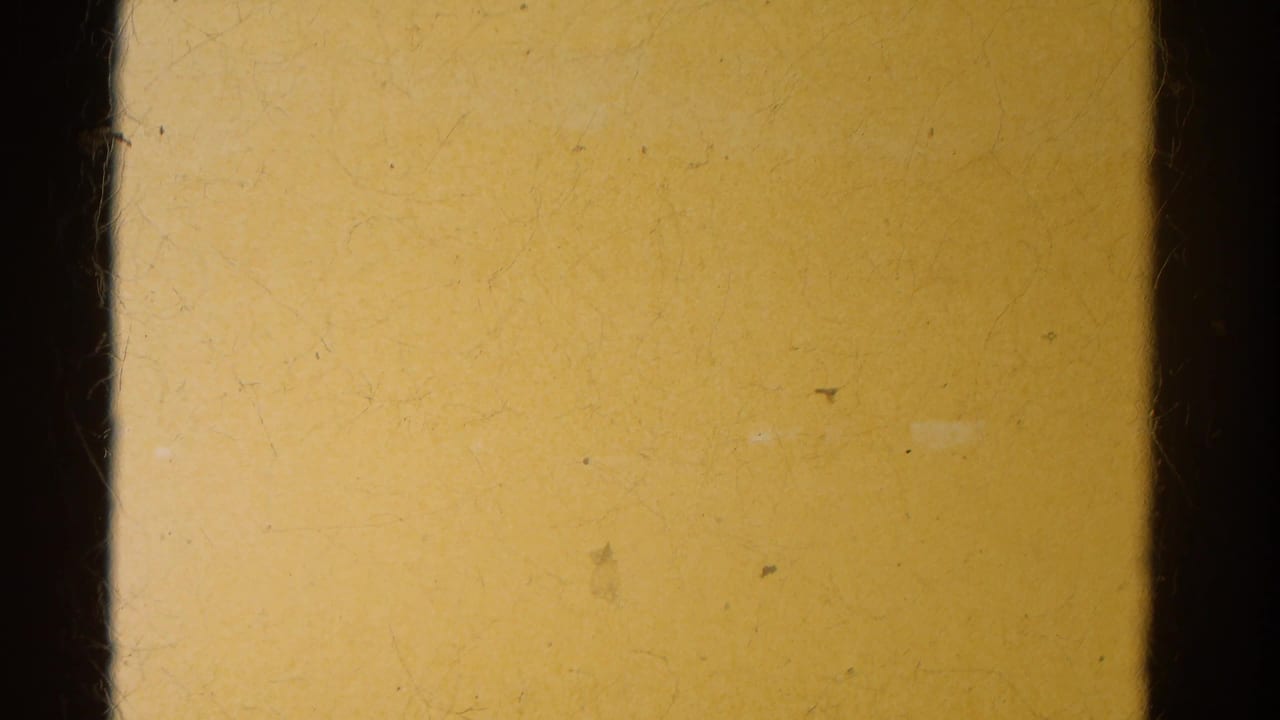 A yellowish exposed film area fills the frame, bordered by dark 8mm gate edges before the trailer park view appears.