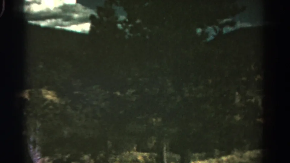 Final 8mm frame shows a dim Colorado roadside view with tree silhouettes, vegetation, and window-frame darkness.