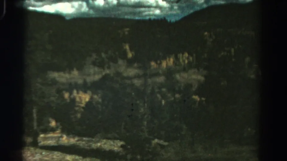 1967 Colorado frame with dense trees, a light meadow or clearing, distant hillside, and high clouds in faded color.