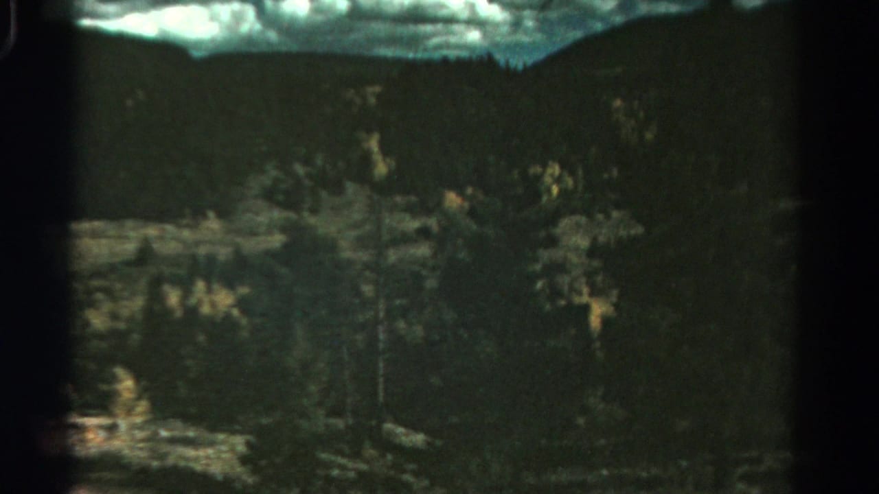 Distant forested mountain slope beneath a cloudy sky with dark evergreen cover.