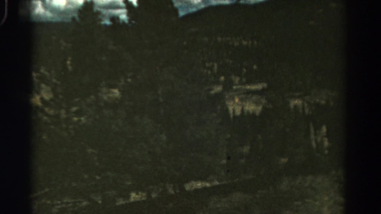 Shadowed trees and a steep roadside drop fill a dark, grainy frame.