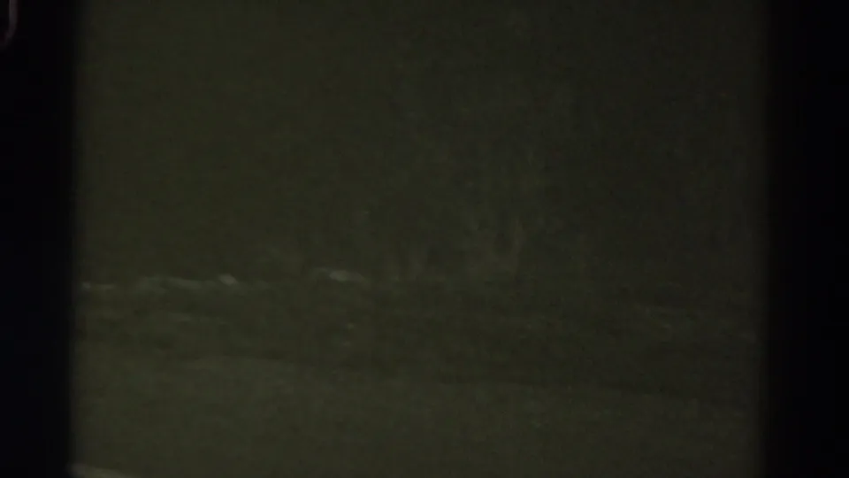 1967 Colorado 8mm night frame with a central vertical dark shape, faint pale streaks, and indistinct roadside texture.