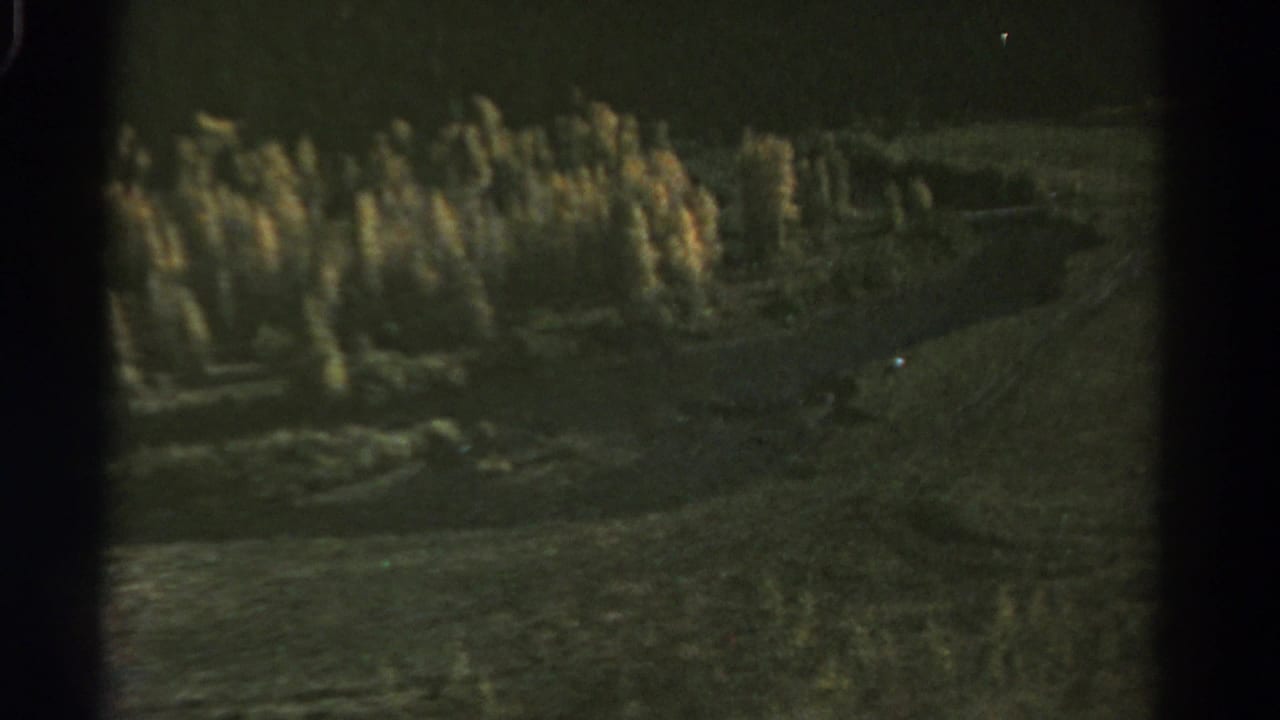 Soft-focus forested valley with dark slopes and a pale curve through the terrain.