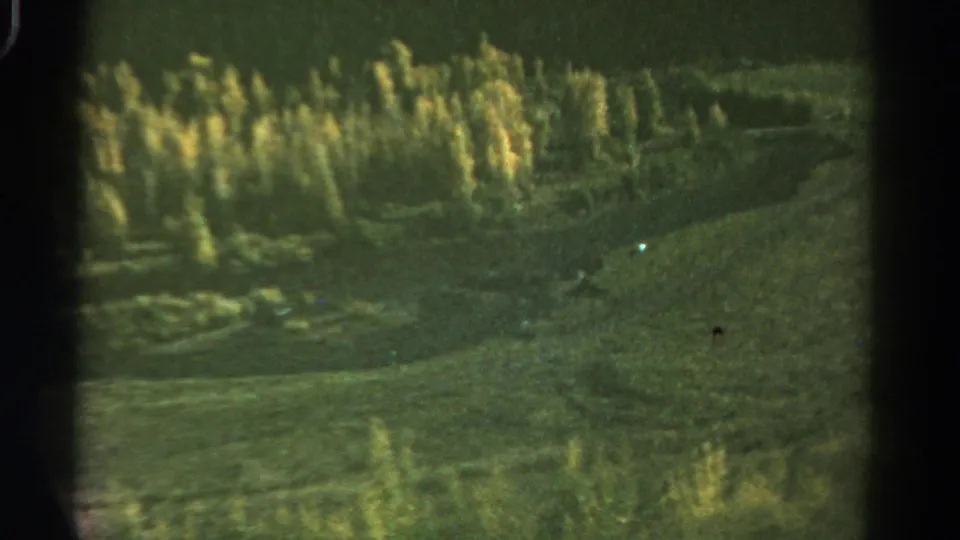 1967 Colorado 8mm frame of a sunlit band of trees on rolling terrain, with dark valley ground and visible film-frame borders.