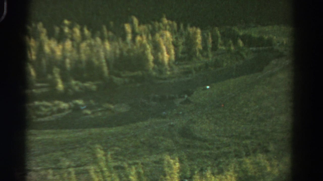 1967 Colorado 8mm frame showing open grass, uneven ground, and a distant line of tall trees in soft green-gold color.