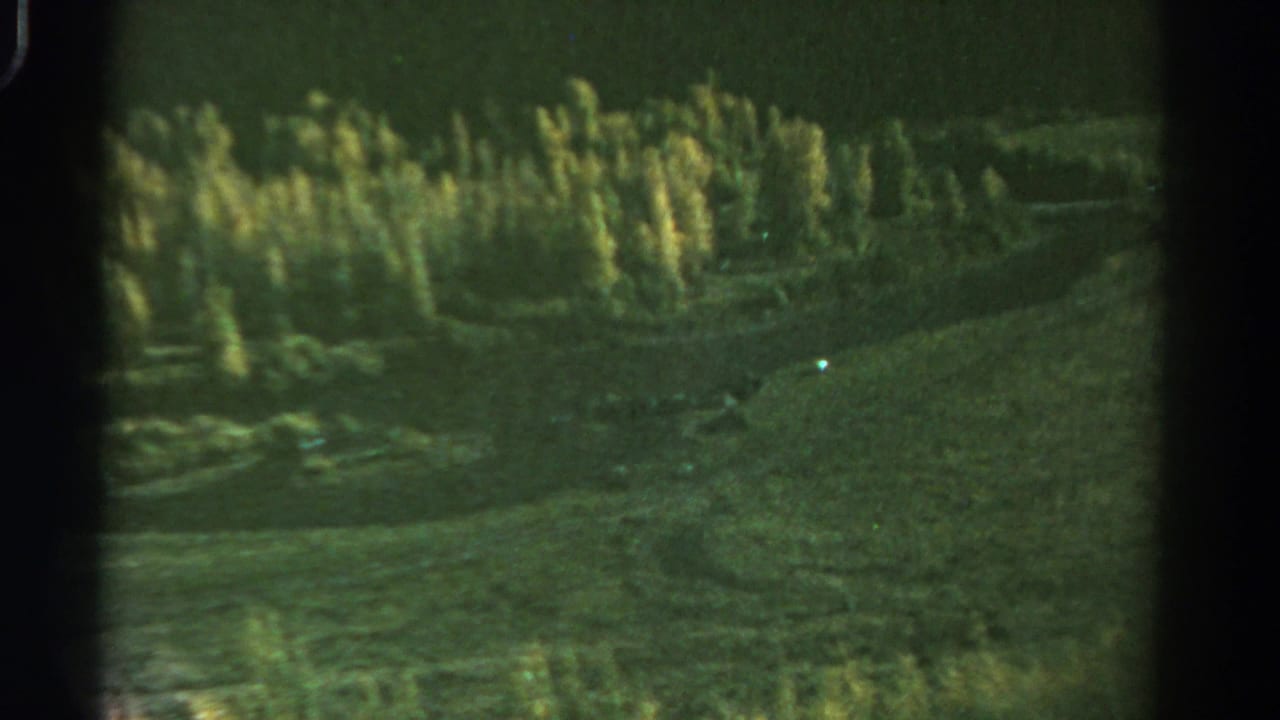 1967 Colorado home-movie view of grassy terrain and tall trees, with soft focus and visible 8mm frame borders.