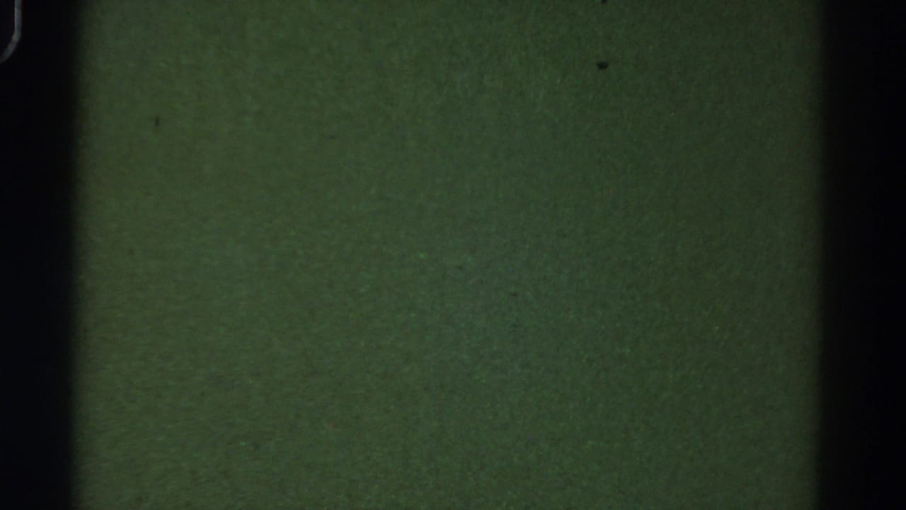 Muted green frame area with dark side edge and visible film grain.