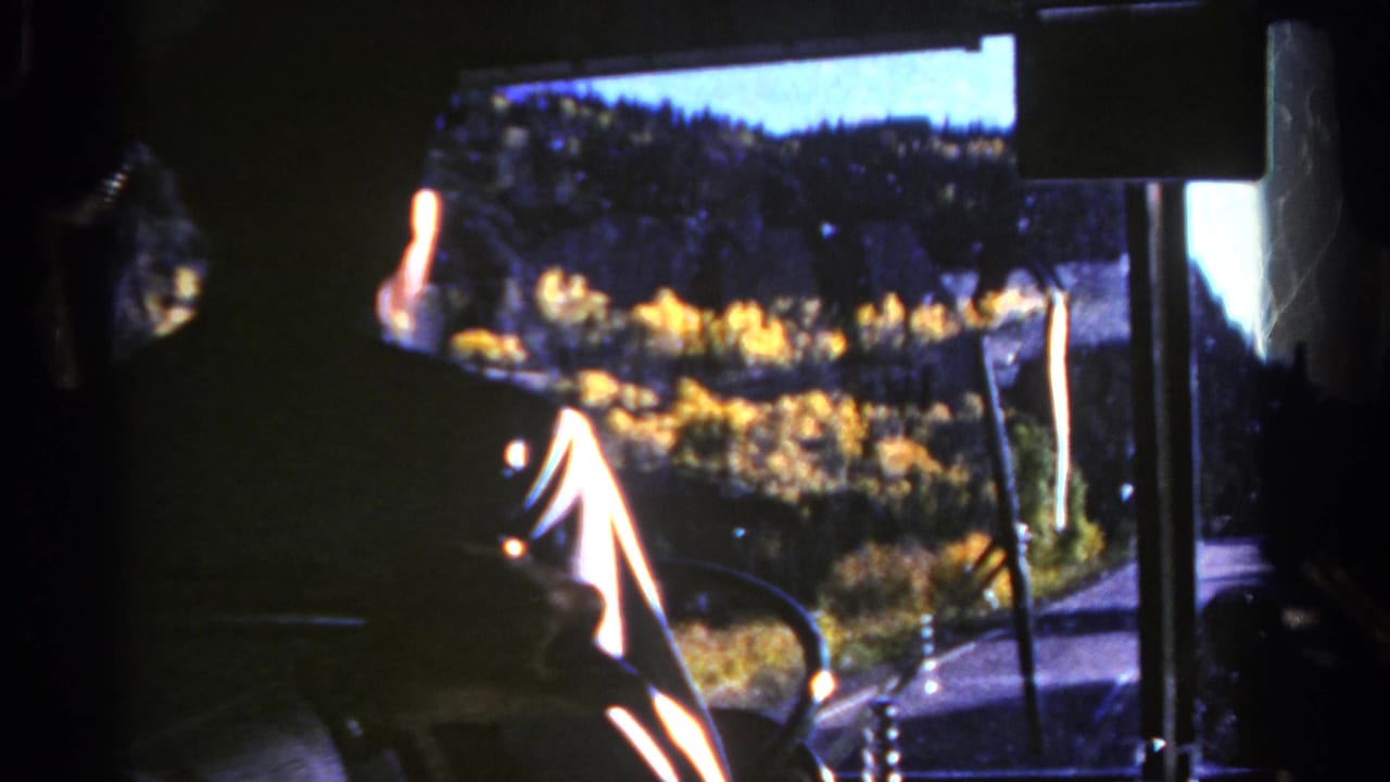 Dark bus interior frames a windshield view of golden trees and a curving road.
