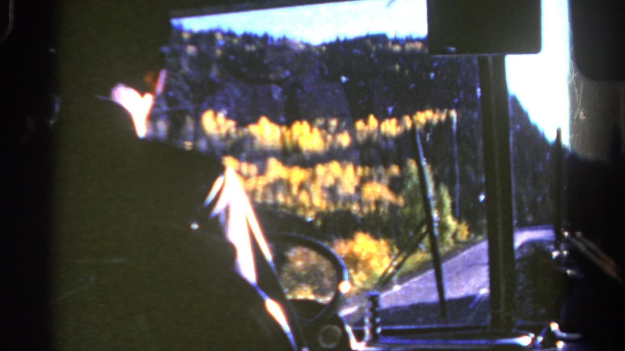 1967 Colorado home-movie view from inside a car, with a dark driver silhouette and golden autumn trees beyond the windshield.