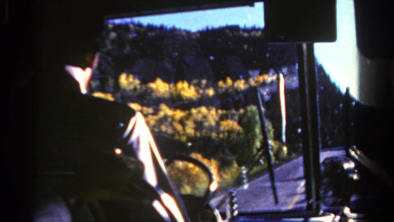 Shadowed driver and windshield view of yellow foliage along a road.