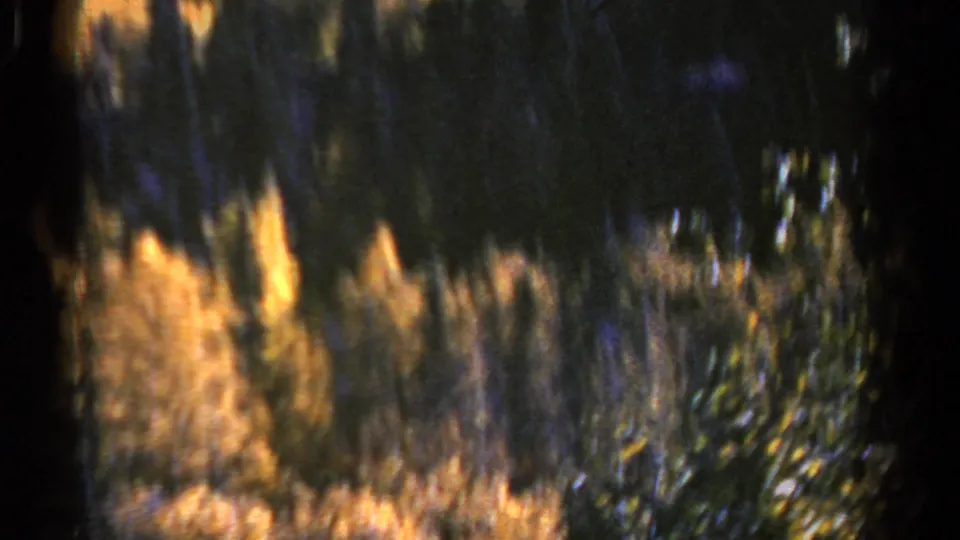 Motion-blurred 8mm frame of Colorado autumn foliage and dark tree forms, likely filmed from the moving car near the end of the clip.