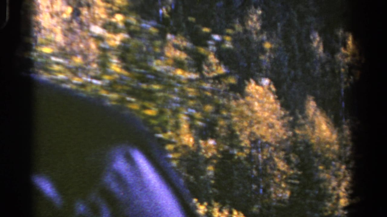 Handheld 8mm view of a Colorado forested hillside, with golden aspens and a dark blurred edge suggesting filming from a vehicle or window.