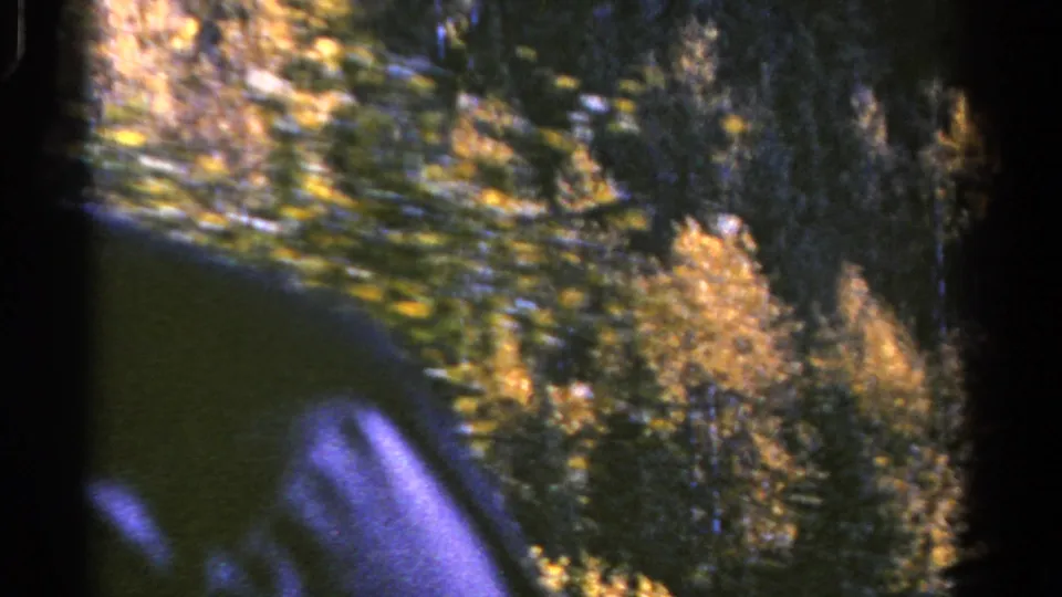 Handheld 8mm view of a Colorado forested hillside, with golden aspens and a dark blurred edge suggesting filming from a vehicle or window.